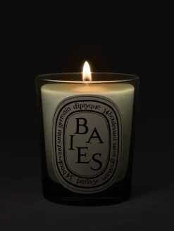 Diptyque Baies (Berries) Classic Candle
