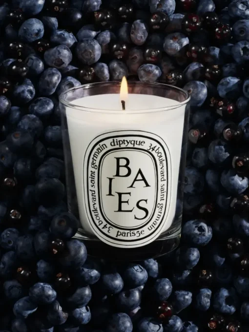Diptyque Baies (Berries) Classic Candle