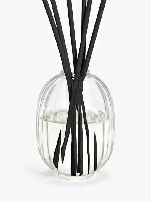 Diptyque Baies (Berries) Home Fragrance Diffuser