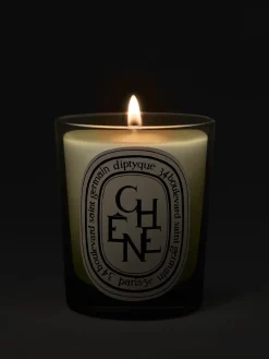 Diptyque Chêne (Oak Tree) Classic Candle