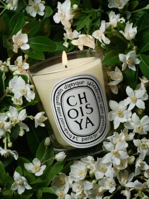 Diptyque Choisya (Orange Blossom) Classic Candle