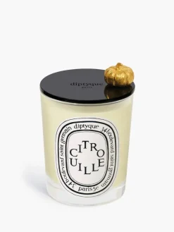 Diptyque Pumpkin Lid For classic candle