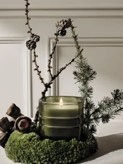 Diptyque Temple des Mousses (Moss Temple) Refillable Candle
